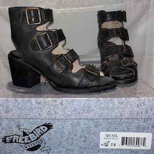 Freebird Quails sz 7